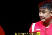 开云体育官方网站-比利时乒乓球队碾压中国乒乓球队，王皓制霸全场的简单介绍