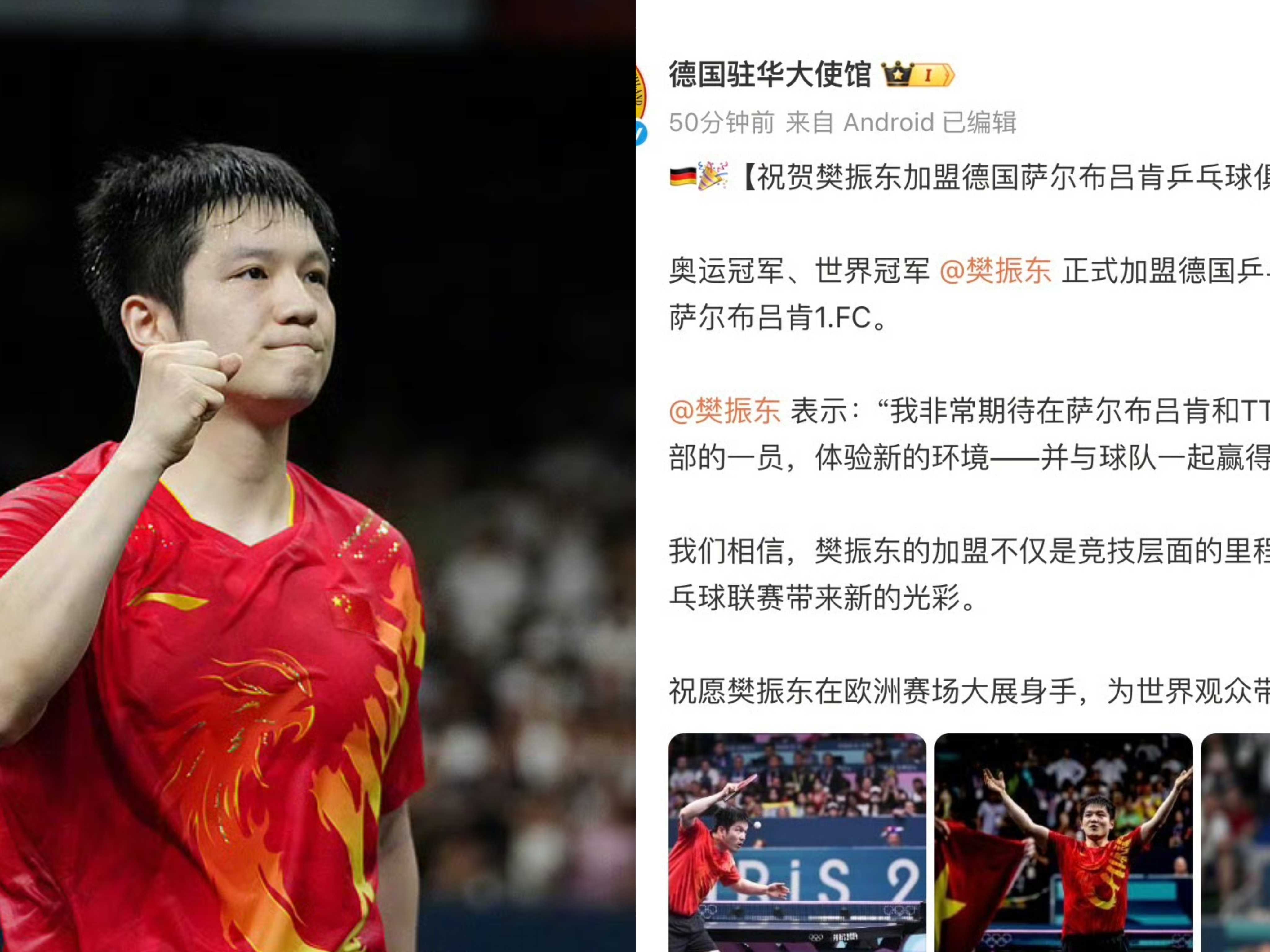 德国乒乓球队横扫日本乒乓球队，许昕关键制胜的简单介绍