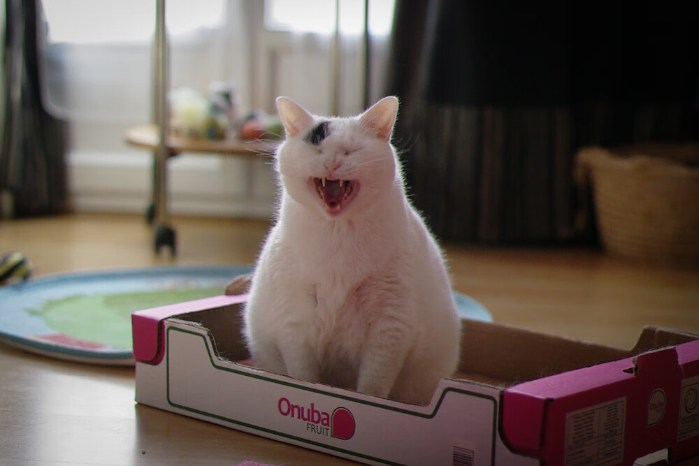 曼联闪电战撬动伯纳乌，维尼修斯如何成为未来版图上的关键先生？