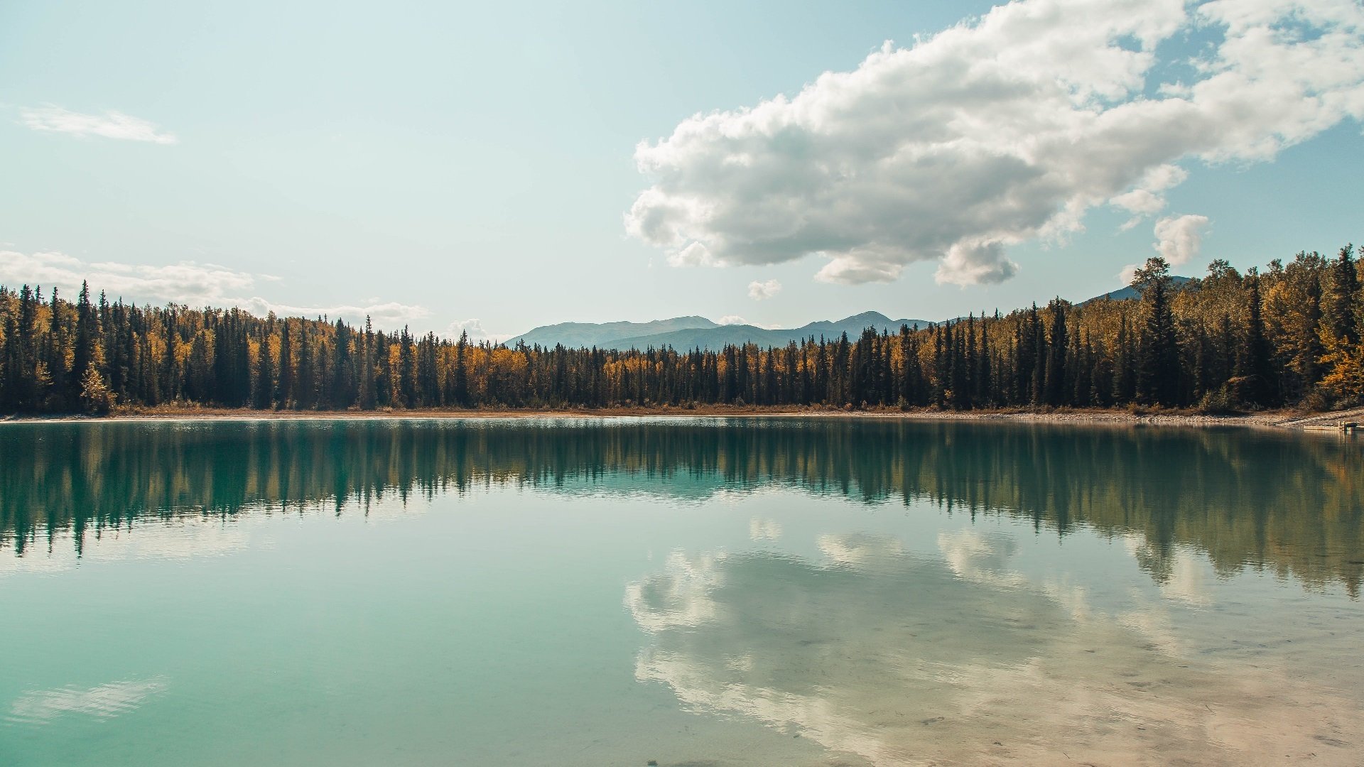 厄德高完美演绎，墨西哥力克德国之战中的闪耀之星