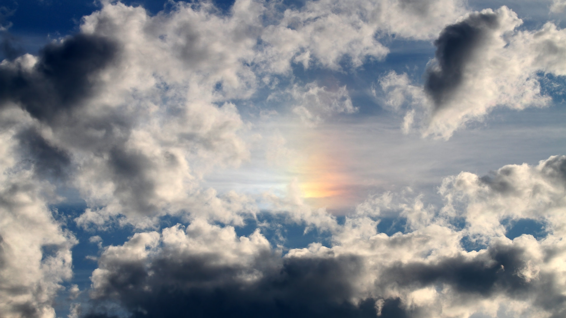 稳定之锚，当弗拉霍维奇在巴萨与葡萄牙的夹缝中定义强队解药