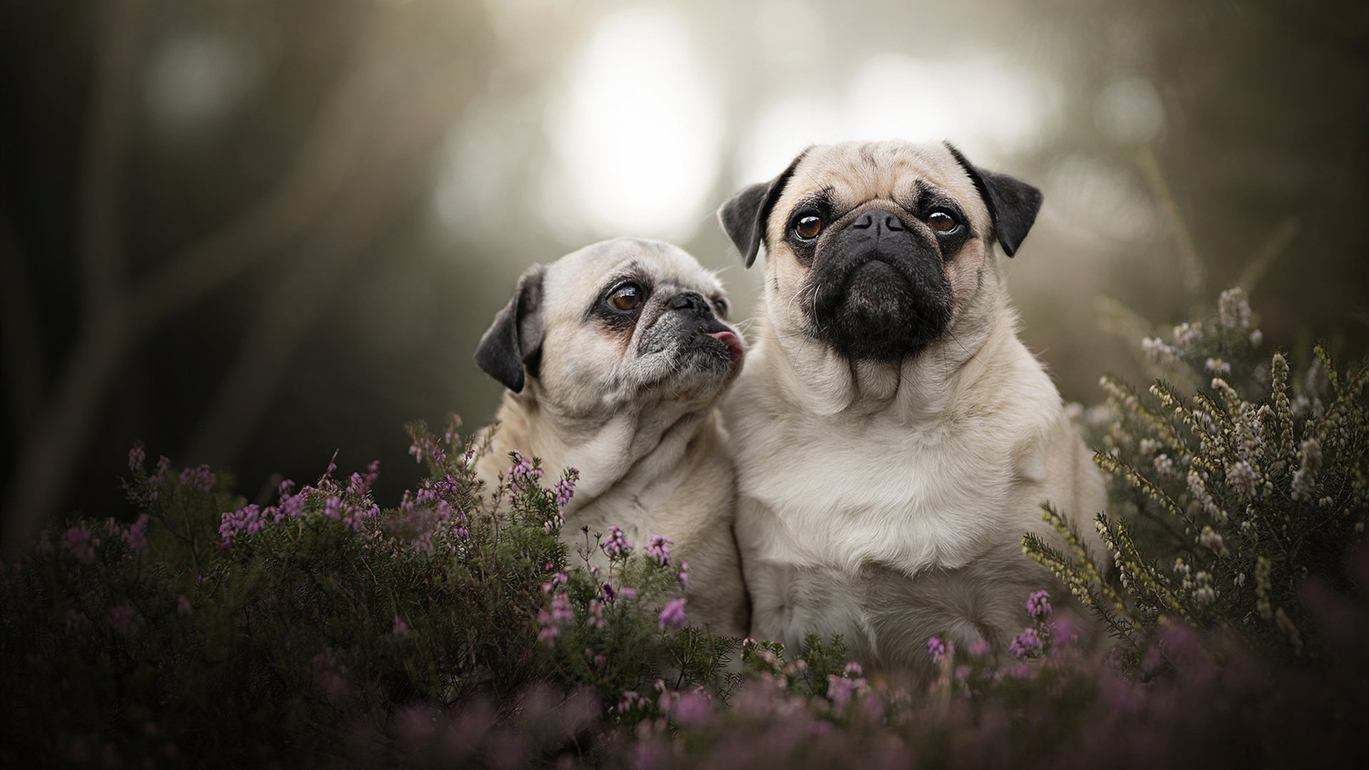 范弗利特单骑破阵,热火三军用命降公牛