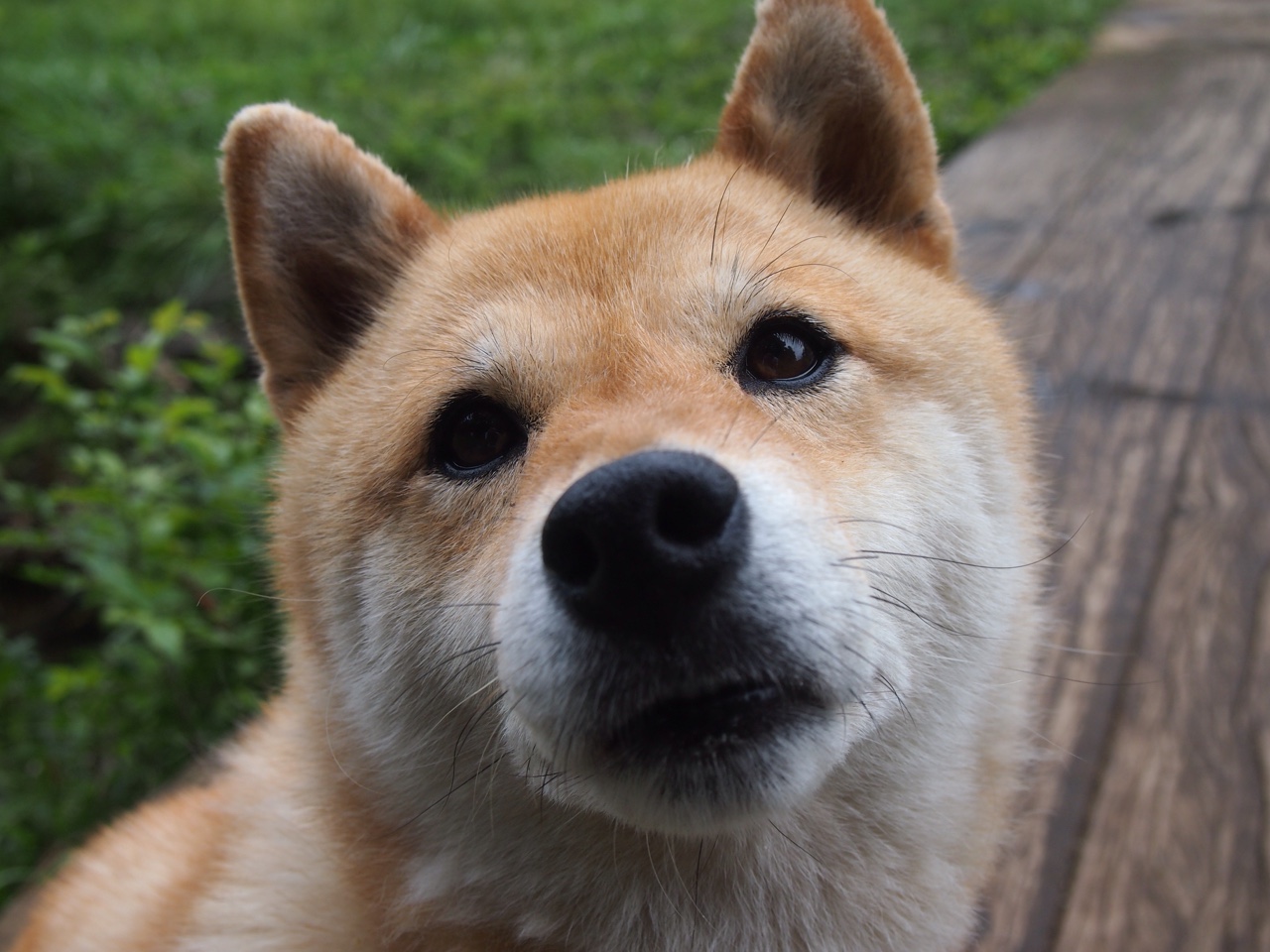 德甲争冠战之夜，若日尼奥，舞台越大越强