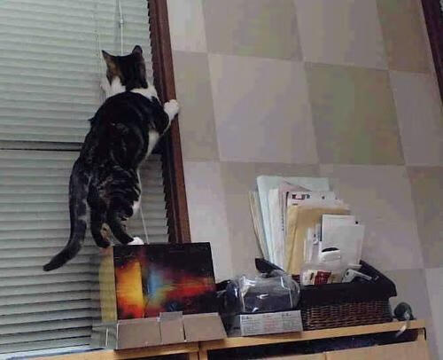 哈兰德关键先生发威，希腊主场爆冷击败曼联