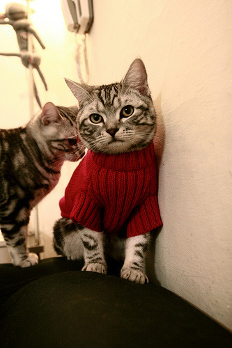 莱万粉碎红黑防线，皇家社会硬仗擒米兰引爆欧战格局