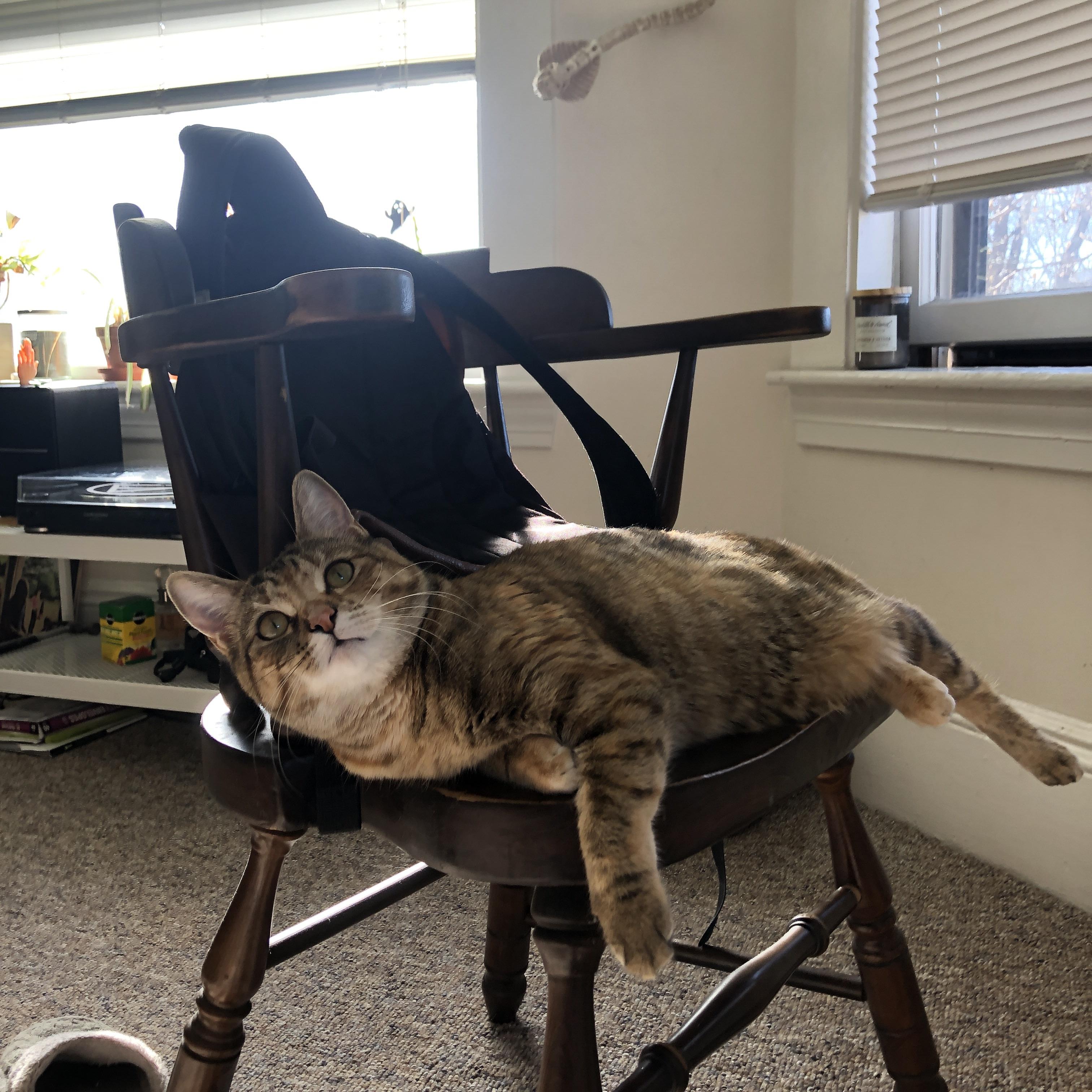 马丁内利之夜，一粒进球改写联赛历史，这位巴西天才如何统治了德甲争冠战？