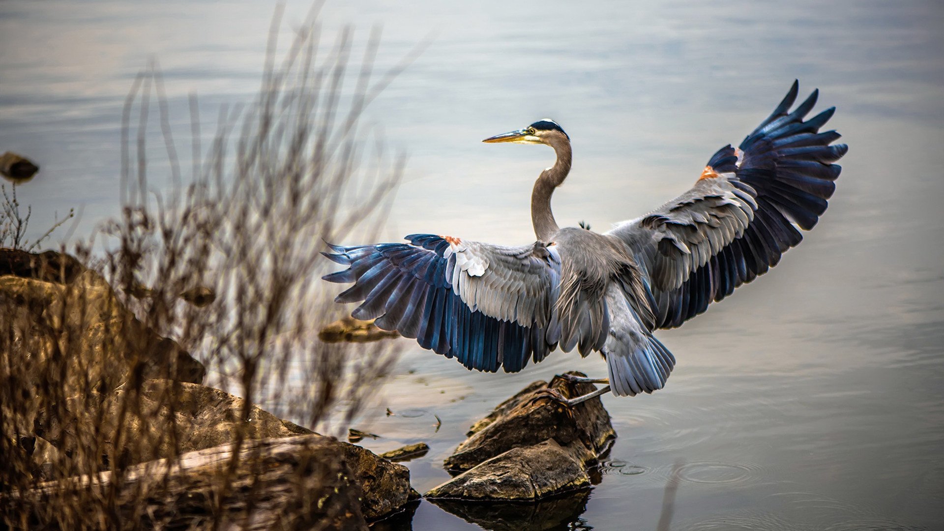 数据全面爆炸！法比尼奥率南非力克韩国